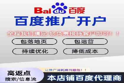 竞价推广中的移动端优化策略：基于移动用户的成功案例